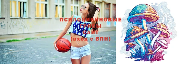 mdma Новозыбков