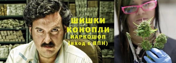 дмт Новодвинск
