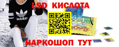 гашик Гусев