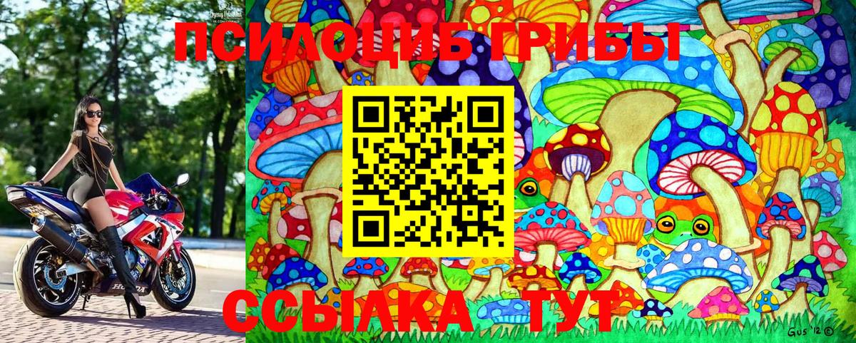 Галлюциногенные грибы прущие грибы Канаш