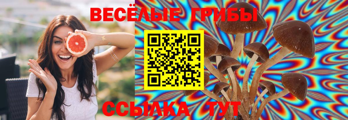 МАРИХУАНА  Канаш  МЕТ  Меф кристаллы  Гашиш  КЕТАМИН  Вход с VPN  Каннабис  ЭКСТАЗИ  COCAIN 
