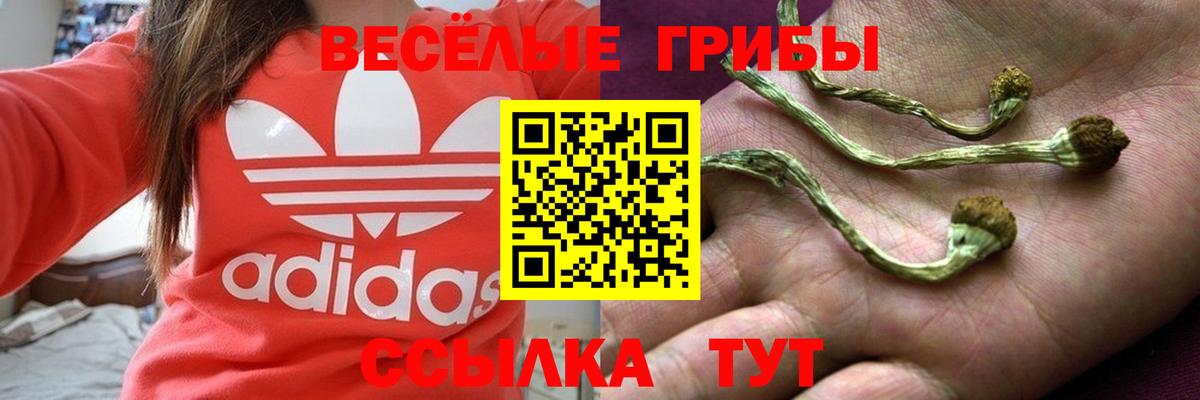 Галлюциногенные грибы Cubensis Канаш