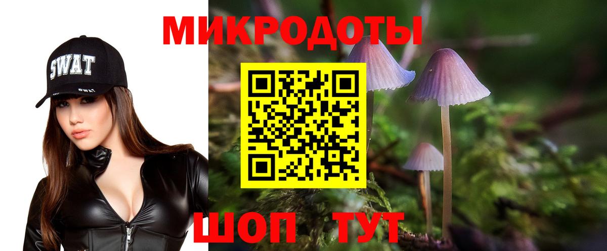 Канаш  Псилоцибиновые грибы GOLDEN TEACHER  Вход с VPN 